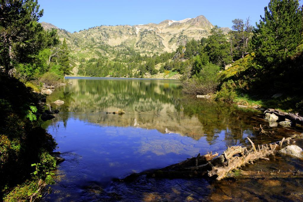 Apartaments La Bonaigua Valencia D'Aneu Buitenkant foto